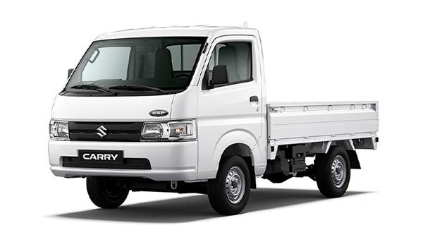 SUZUKI CARRY PRO